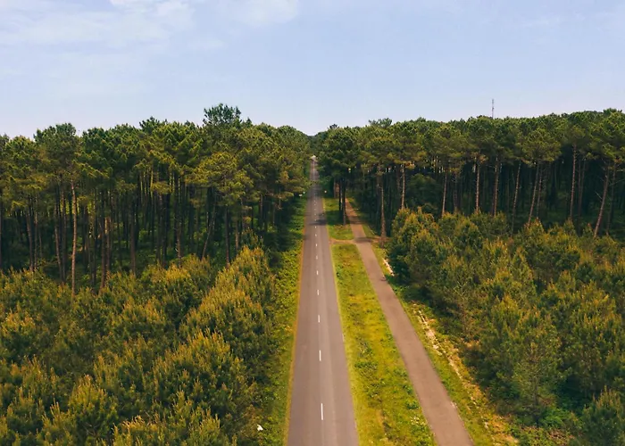 Lejlighed Cosy T2 A Cote De La Seignosse