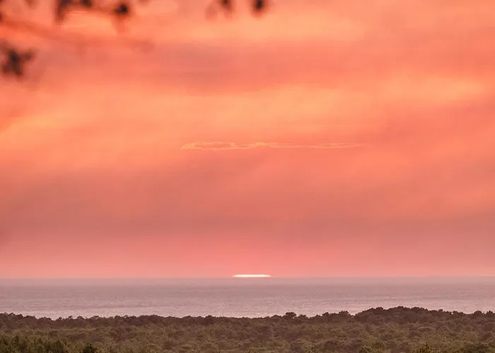 Lejlighed Cosy T2 A Cote De La *